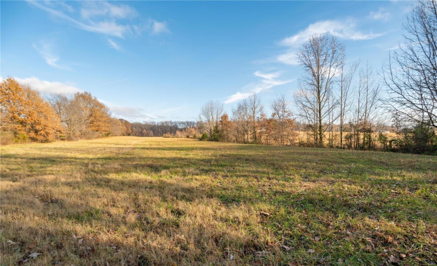 16639 County Road 420, Bloomfield, Missouri 63825, 2 Bedrooms Bedrooms, 5 Rooms Rooms,1 BathroomBathrooms,Farm,For Sale,County Road 420,MAR24076353