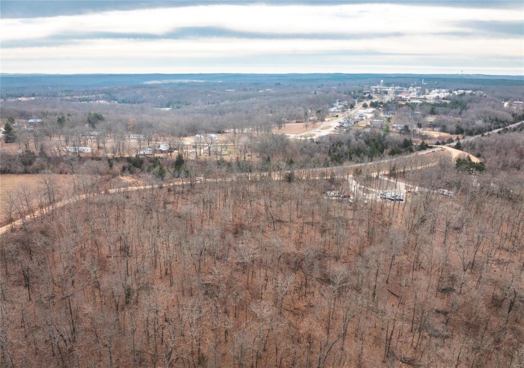 298 County Road 87, Viburnum, Missouri 65566, ,Farm,For Sale,County Road 87,MAR24075875