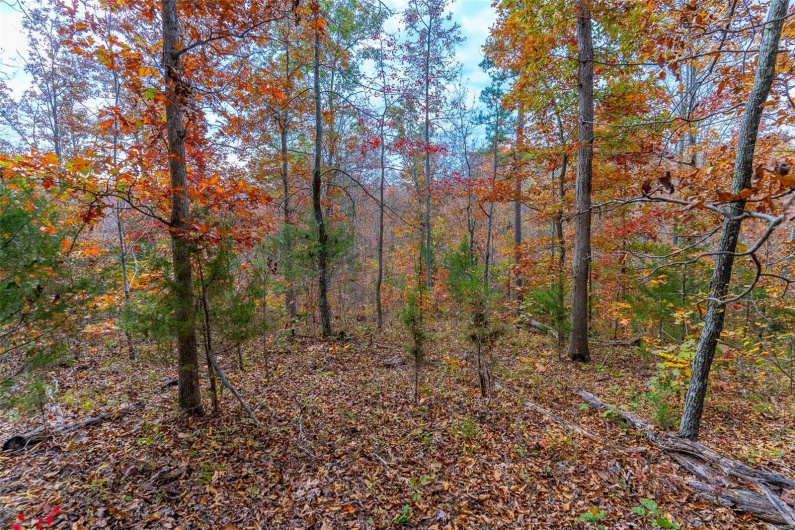 0 Highway JJ (Tract 7), Marquand, Missouri 63655, ,Farm,For Sale,Highway JJ (Tract 7),MAR24076460