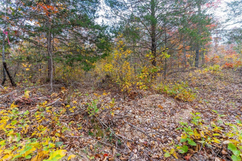 0 Highway JJ (Tract 7), Marquand, Missouri 63655, ,Farm,For Sale,Highway JJ (Tract 7),MAR24076460
