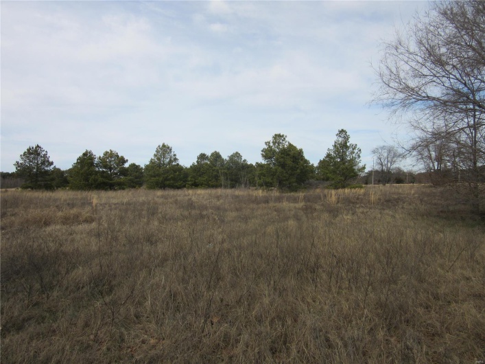 2300 Hwy 25, Malden, Missouri 63863, ,Commercial Sale,For Sale,Hwy 25,MAR24006595