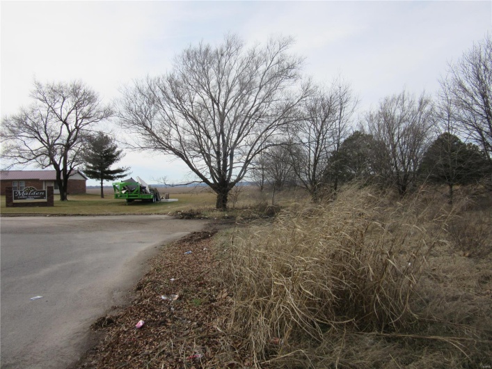 2300 Hwy 25, Malden, Missouri 63863, ,Commercial Sale,For Sale,Hwy 25,MAR24006595