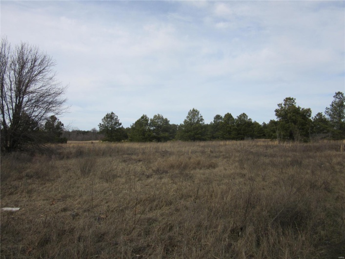 2300 Hwy 25, Malden, Missouri 63863, ,Commercial Sale,For Sale,Hwy 25,MAR24006595