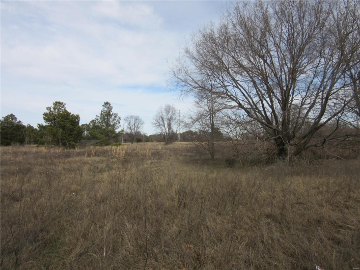 2300 Hwy 25, Malden, Missouri 63863, ,Commercial Sale,For Sale,Hwy 25,MAR24006595