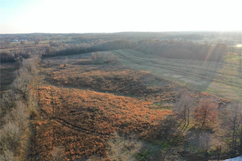 7432 County RD 284, Puxico, Missouri 63960, ,Farm,For Sale,County RD 284,MAR24076947