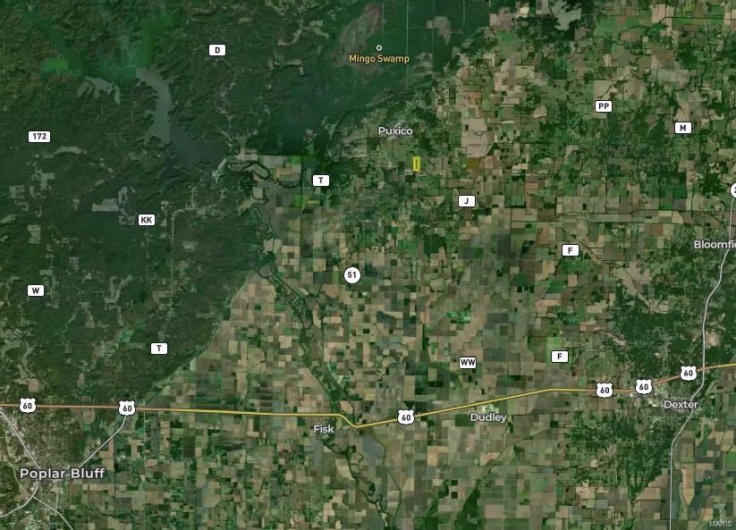 7432 County RD 284, Puxico, Missouri 63960, ,Farm,For Sale,County RD 284,MAR24076947