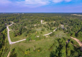 0 Bailey RD Lot 5, Poplar Bluff, Missouri 63901, ,Land,For Sale,Bailey RD Lot 5,MAR22028422