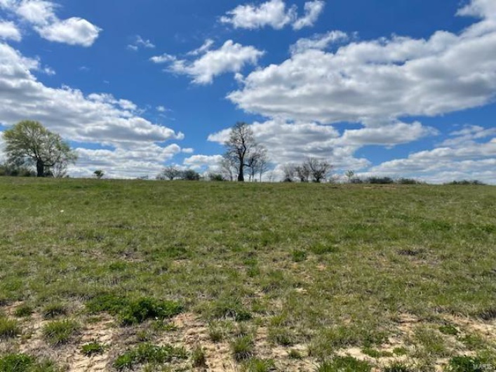 203 Haydens Trail, Jackson, Missouri 63755, ,Land,For Sale,Haydens,MAR24076979