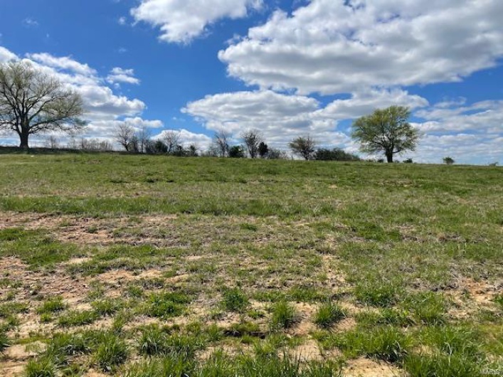 177 Haydens Trail, Jackson, Missouri 63755, ,Land,For Sale,Haydens,MAR24076988