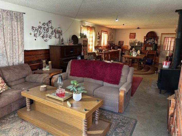 Living room featuring a textured ceiling and a wood stove