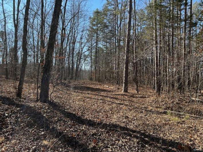 View of nature