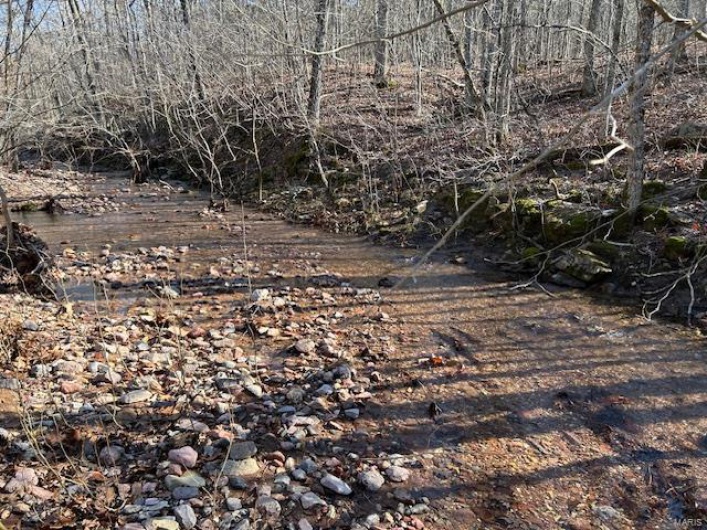 View of local wilderness