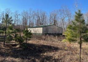 1 CR 204, Annapolis, Missouri 63620, ,Farm,For Sale,CR 204,MAR24077157