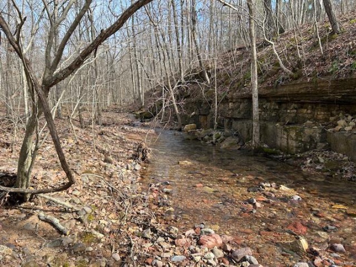 View of nature
