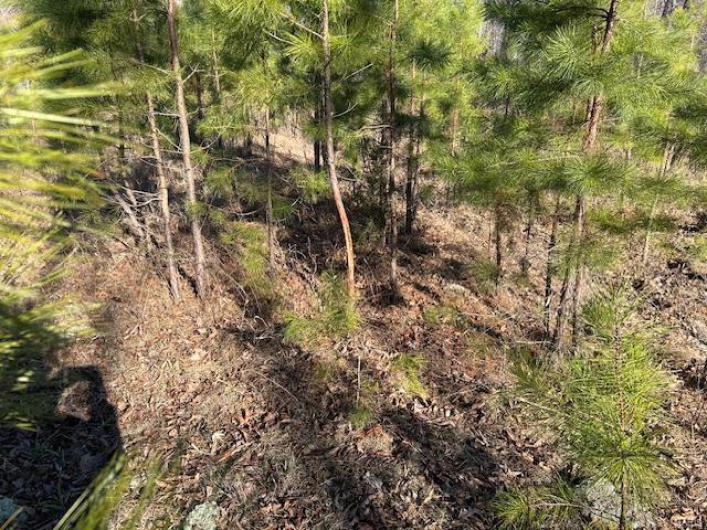 View of nature