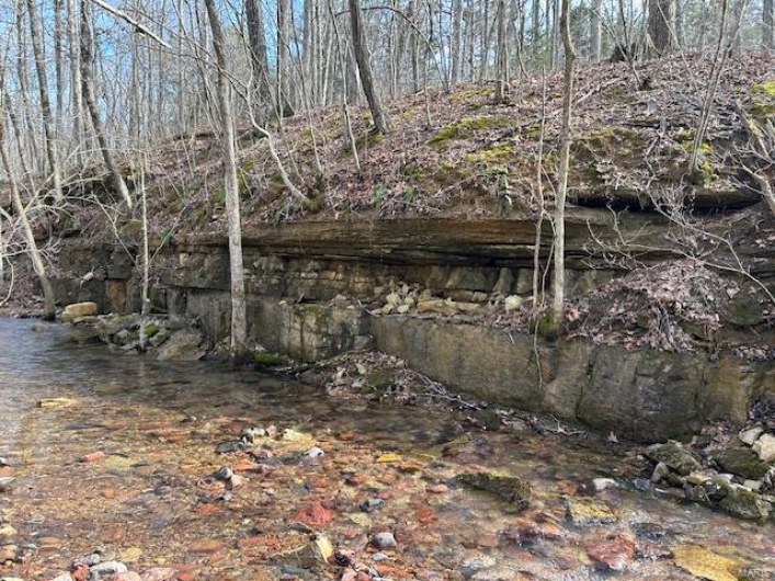 View of local wilderness