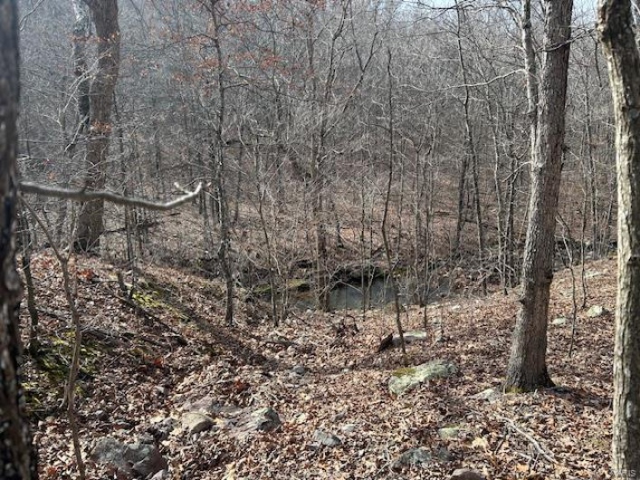 View of nature