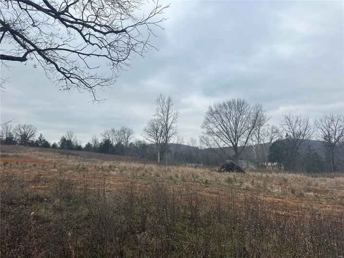 1902 Old 8 HWY, Park Hills, Missouri 63601, ,Farm,For Sale,Old 8 HWY,MAR24077025