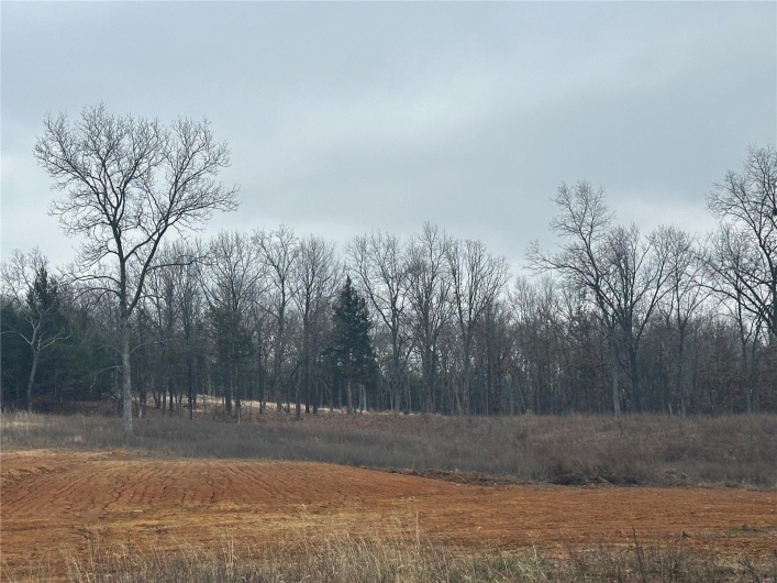 1902 Old 8 HWY, Park Hills, Missouri 63601, ,Farm,For Sale,Old 8 HWY,MAR24077025