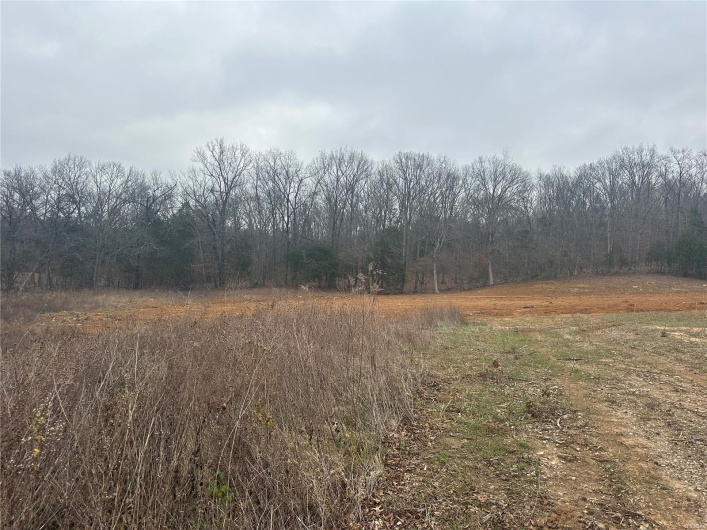 1902 Old 8 HWY, Park Hills, Missouri 63601, ,Farm,For Sale,Old 8 HWY,MAR24077025