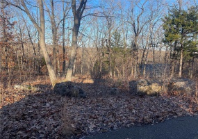 6355 Brown Road, French Village, Missouri 63036, ,Land,For Sale,Brown,MAR24077178
