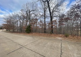 3636 McLane Drive, Poplar Bluff, Missouri 63901, ,Land,For Sale,McLane,MAR24077257