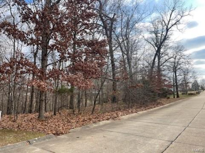 3636 McLane Drive, Poplar Bluff, Missouri 63901, ,Land,For Sale,McLane,MAR24077257