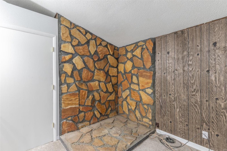 Details with carpet, a textured ceiling, and wooden walls