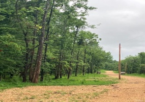 74 Madison CR 410, Fredericktown, Missouri 63645, ,Farm,For Sale,Madison CR 410,MAR24041002