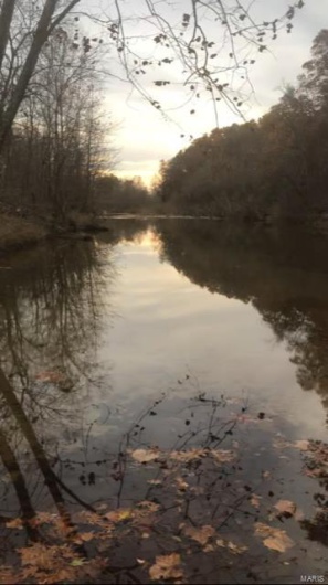 74 Madison CR 410, Fredericktown, Missouri 63645, ,Farm,For Sale,Madison CR 410,MAR24041002