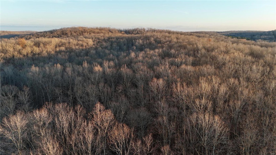 0 Highway 34, Glen Allen, Missouri 63751, ,Farm,For Sale,Highway 34,MAR24078590