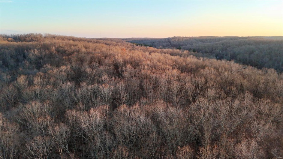 0 Highway 34, Glen Allen, Missouri 63751, ,Farm,For Sale,Highway 34,MAR24078590