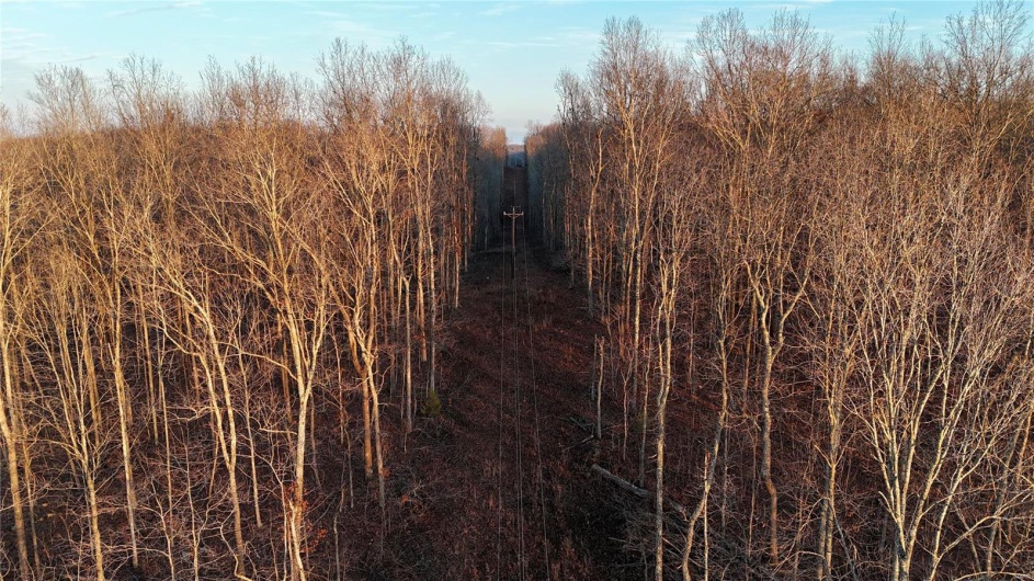 0 Highway 34, Glen Allen, Missouri 63751, ,Farm,For Sale,Highway 34,MAR24078590