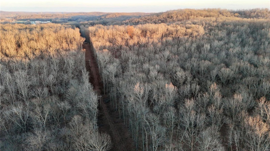 0 Highway 34, Glen Allen, Missouri 63751, ,Farm,For Sale,Highway 34,MAR24078590