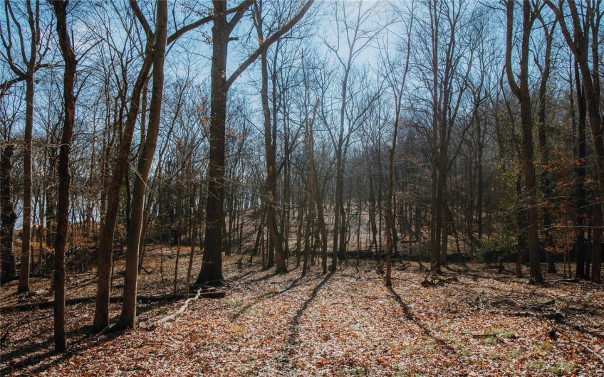 View of landscape