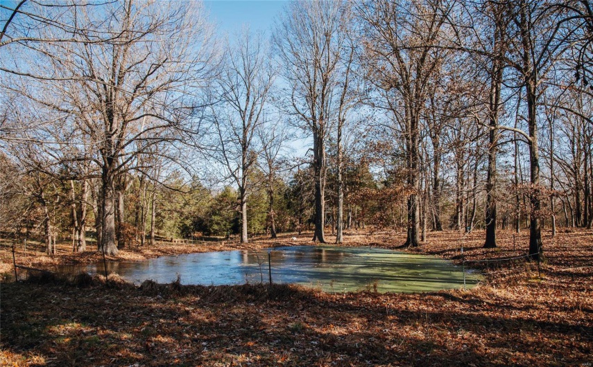 View of water feature