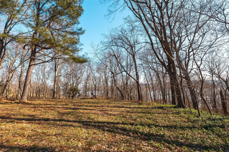 View of local wilderness