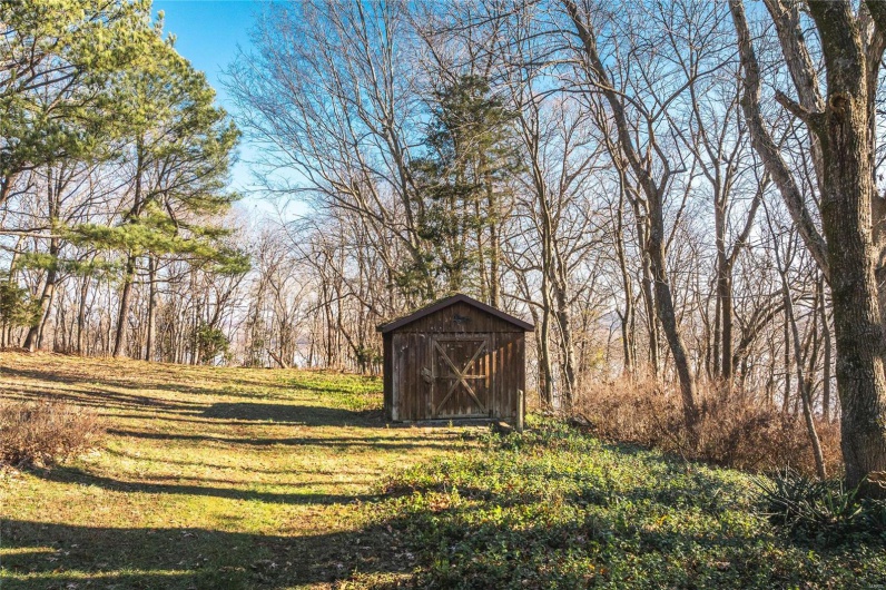 View of yard featuring a shed