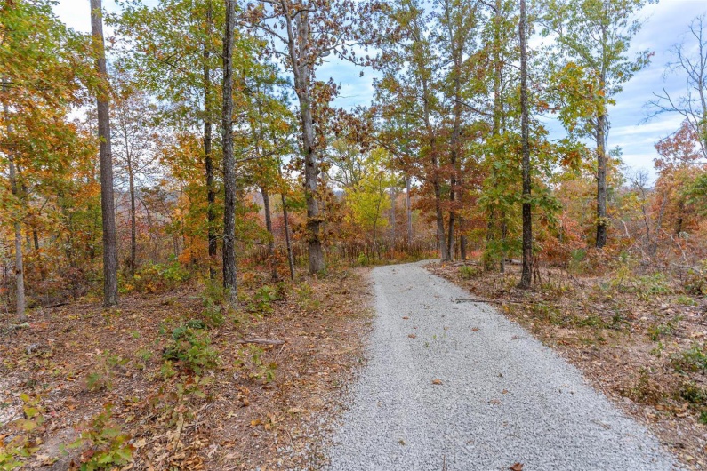 0 Highway JJ (Tract 5), Marquand, Missouri 63655, ,Farm,For Sale,Highway JJ (Tract 5),MAR24078980