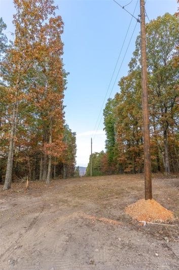 0 Highway JJ (Tract 5), Marquand, Missouri 63655, ,Farm,For Sale,Highway JJ (Tract 5),MAR24078980