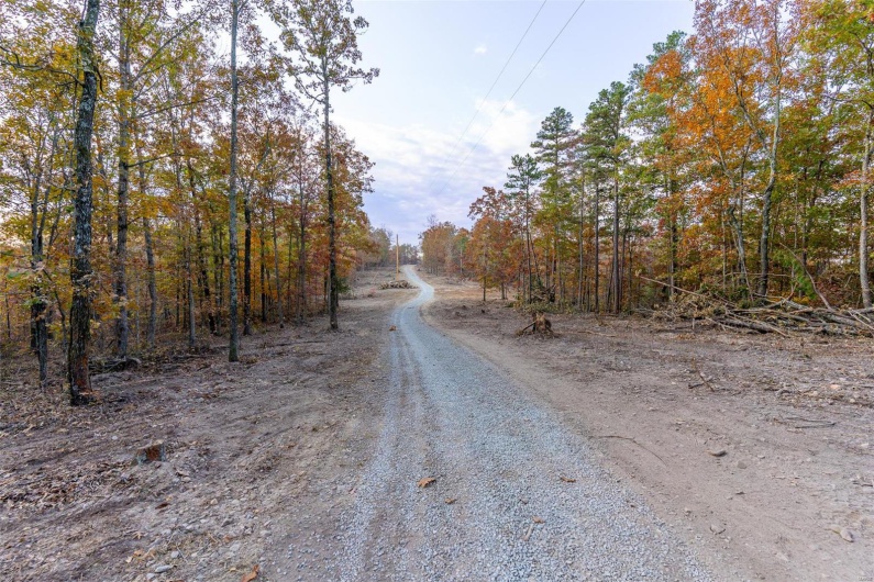 0 Highway JJ (Tract 5), Marquand, Missouri 63655, ,Farm,For Sale,Highway JJ (Tract 5),MAR24078980