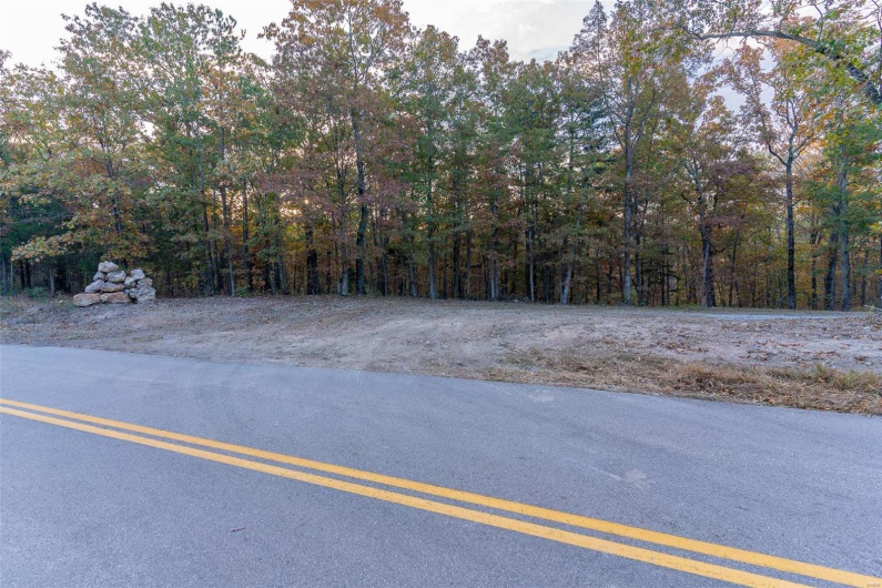 0 Highway JJ (Tract 5), Marquand, Missouri 63655, ,Farm,For Sale,Highway JJ (Tract 5),MAR24078980