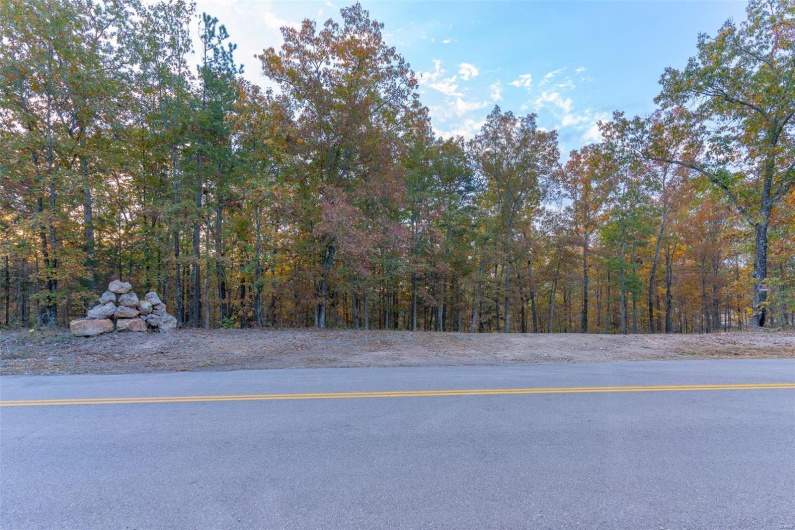 0 Highway JJ (Tract 5), Marquand, Missouri 63655, ,Farm,For Sale,Highway JJ (Tract 5),MAR24078980