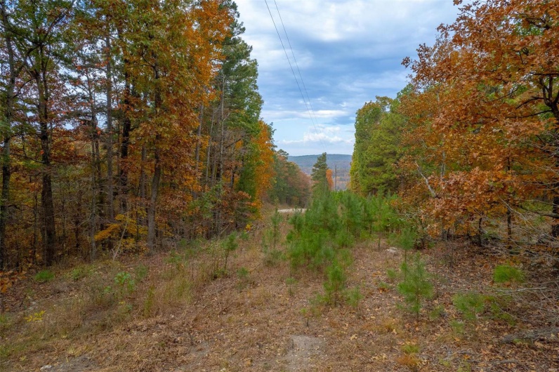 0 Highway JJ (Tract 5), Marquand, Missouri 63655, ,Farm,For Sale,Highway JJ (Tract 5),MAR24078980