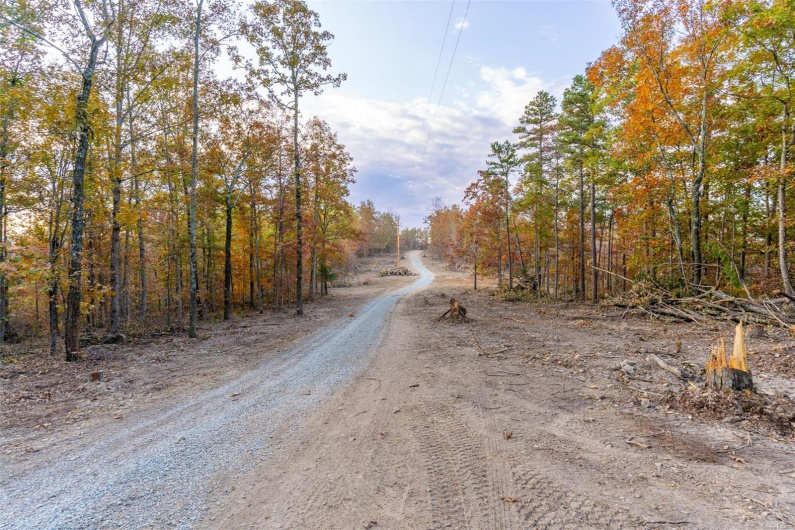 0 Highway JJ (Tract 5), Marquand, Missouri 63655, ,Farm,For Sale,Highway JJ (Tract 5),MAR24078980