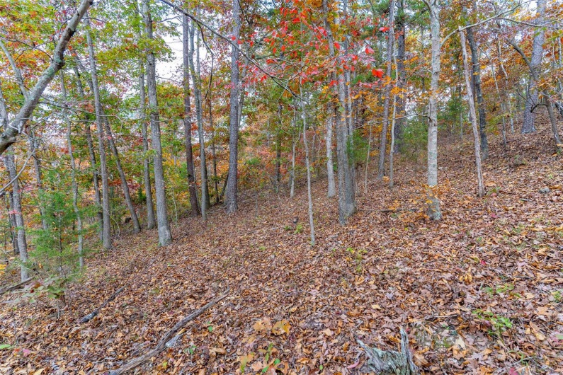 0 Highway JJ (Tract 5), Marquand, Missouri 63655, ,Farm,For Sale,Highway JJ (Tract 5),MAR24078980