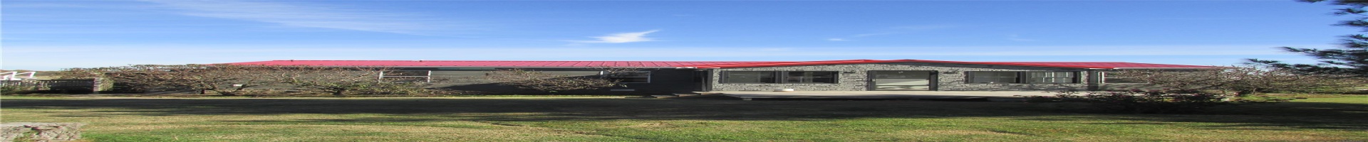 Residential For Sale 118 County Road 673, Qulin, Missouri 63961, 3 Bedrooms Bedrooms, 8 Rooms Rooms,2 BathroomsBathrooms,Residential,For Sale,County Road 673,MAR24078755