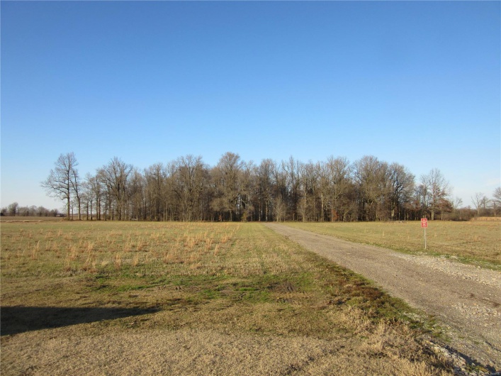 14639 Highway DD, Campbell, Missouri 63933, ,Farm,For Sale,Highway DD,MAR25000345