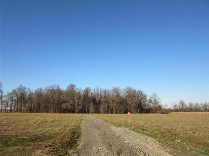 14639 Highway DD, Campbell, Missouri 63933, ,Farm,For Sale,Highway DD,MAR25000345