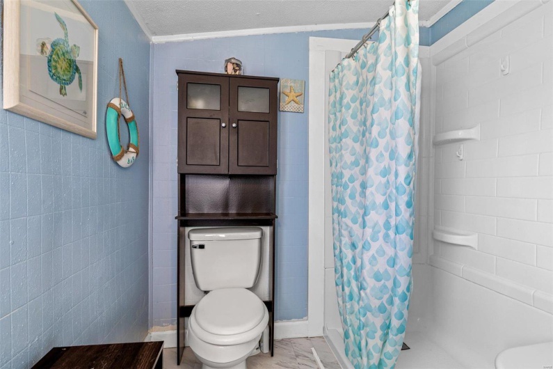 Bathroom featuring curtained shower, ornamental molding, vaulted ceiling, and toilet